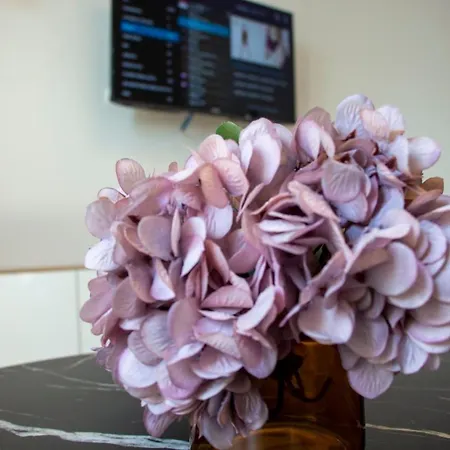 아파트 Harmony Superior 야고디나